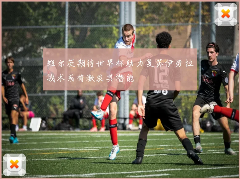 维尔茨期待世界杯助力复苏伊劳拉战术或将激发其潜能