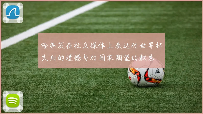 哈弗茨在社交媒体上表达对世界杯失利的遗憾与对国家期望的歉意